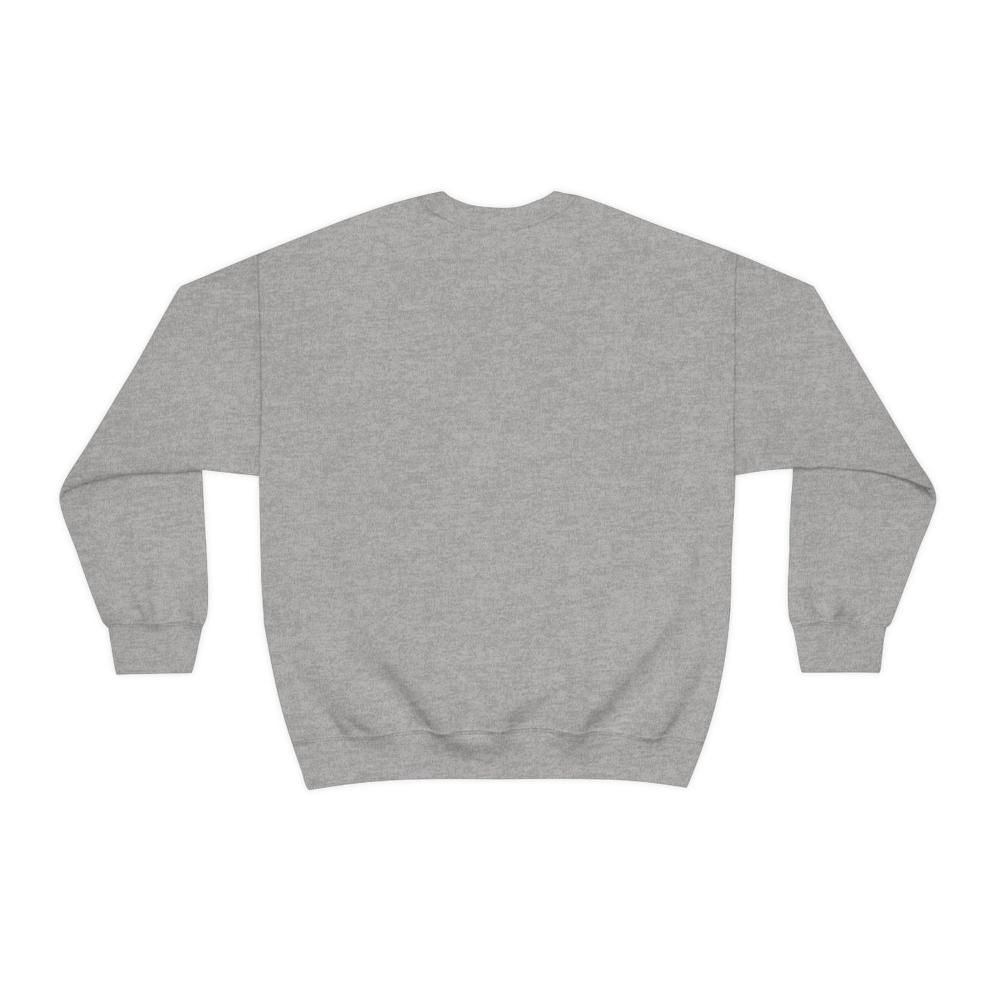 Coleman Christian School Lions Sweatshirt in Sport Grey and Light Blue