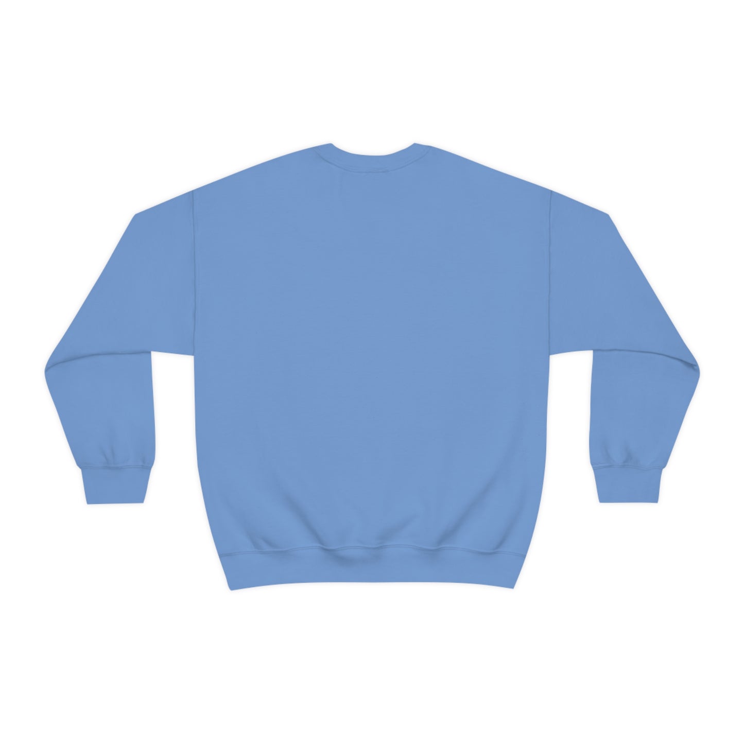 Coleman Christian School Lions Sweatshirt in Sport Grey and Light Blue