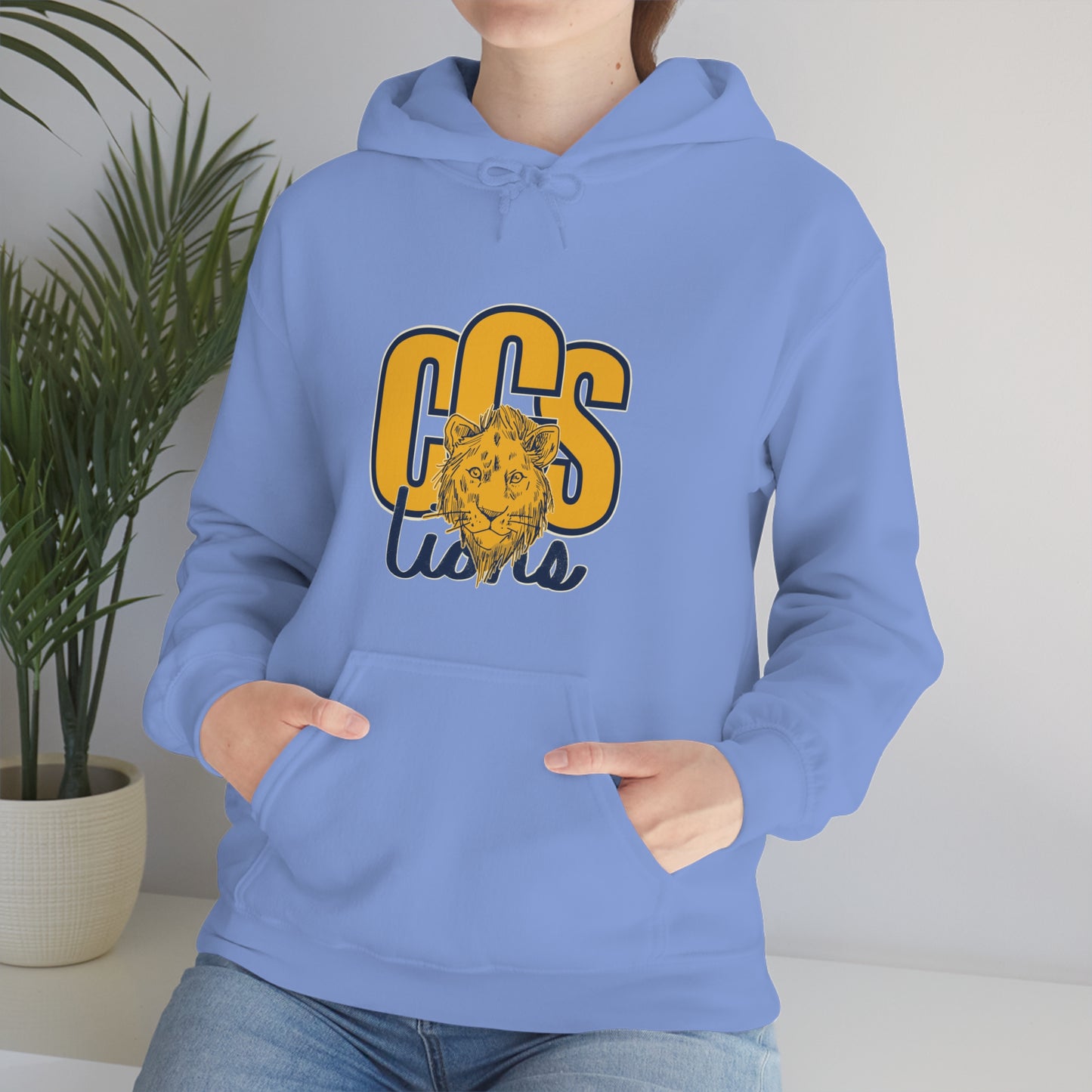 Coleman Christian School Hoodies