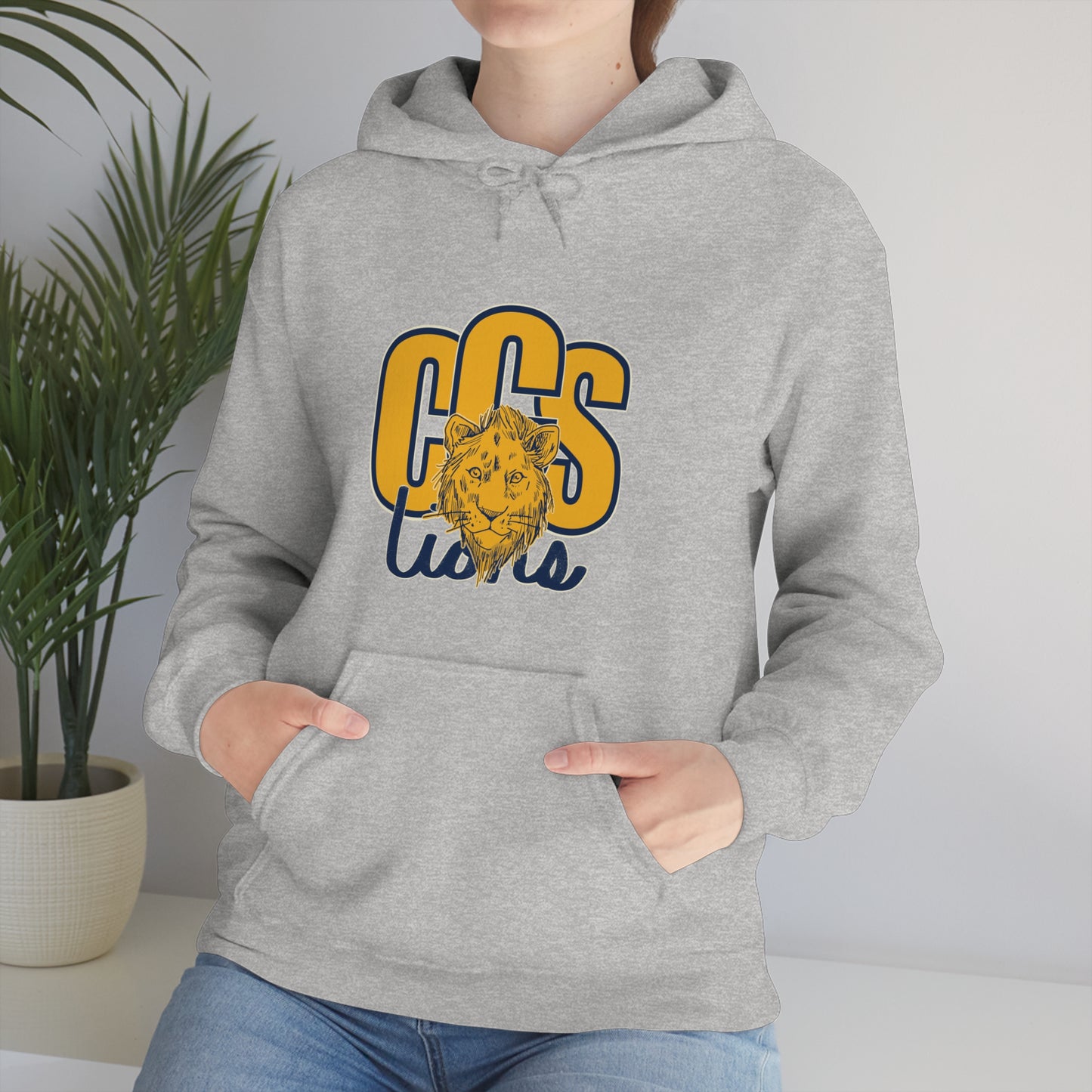 Coleman Christian School Hoodies